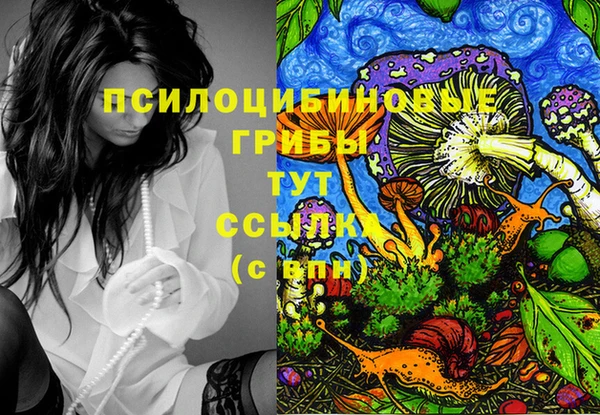 дмт Алзамай
