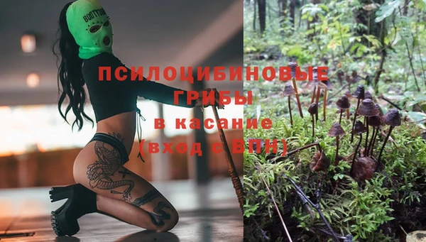 дмт Алзамай