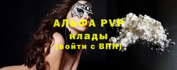 крисы Алексин