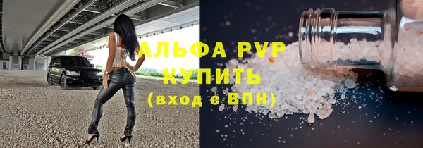 индика Няндома