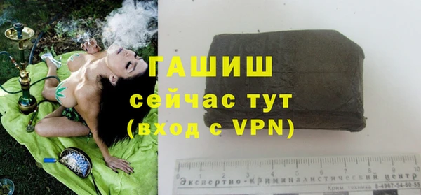 дмт Алзамай