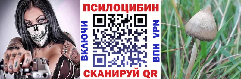 Псилоцибиновые грибы мицелий Холм