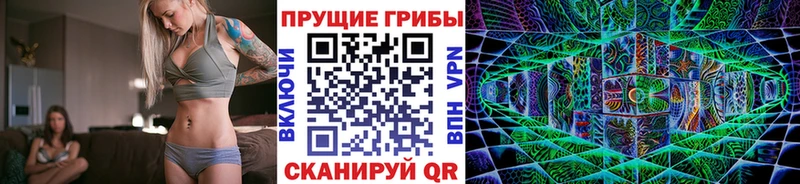 Псилоцибиновые грибы Cubensis  Холм 